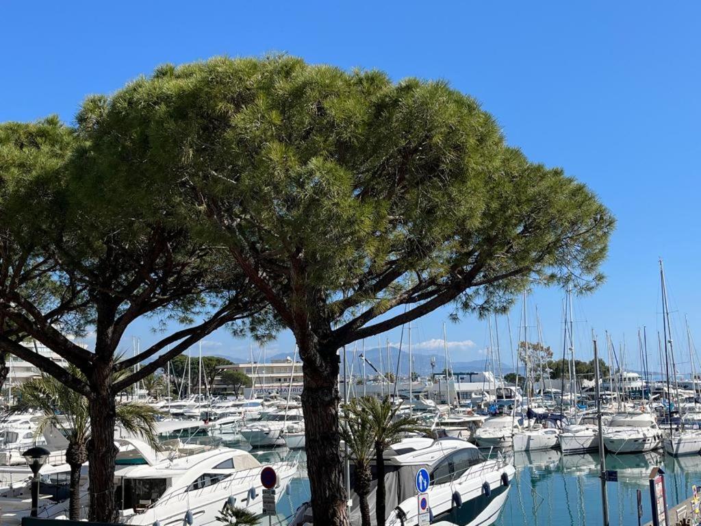 4 Pers , 100m De La Marina Baie Des Anges French Riviera Apartamento Villeneuve-Loubet